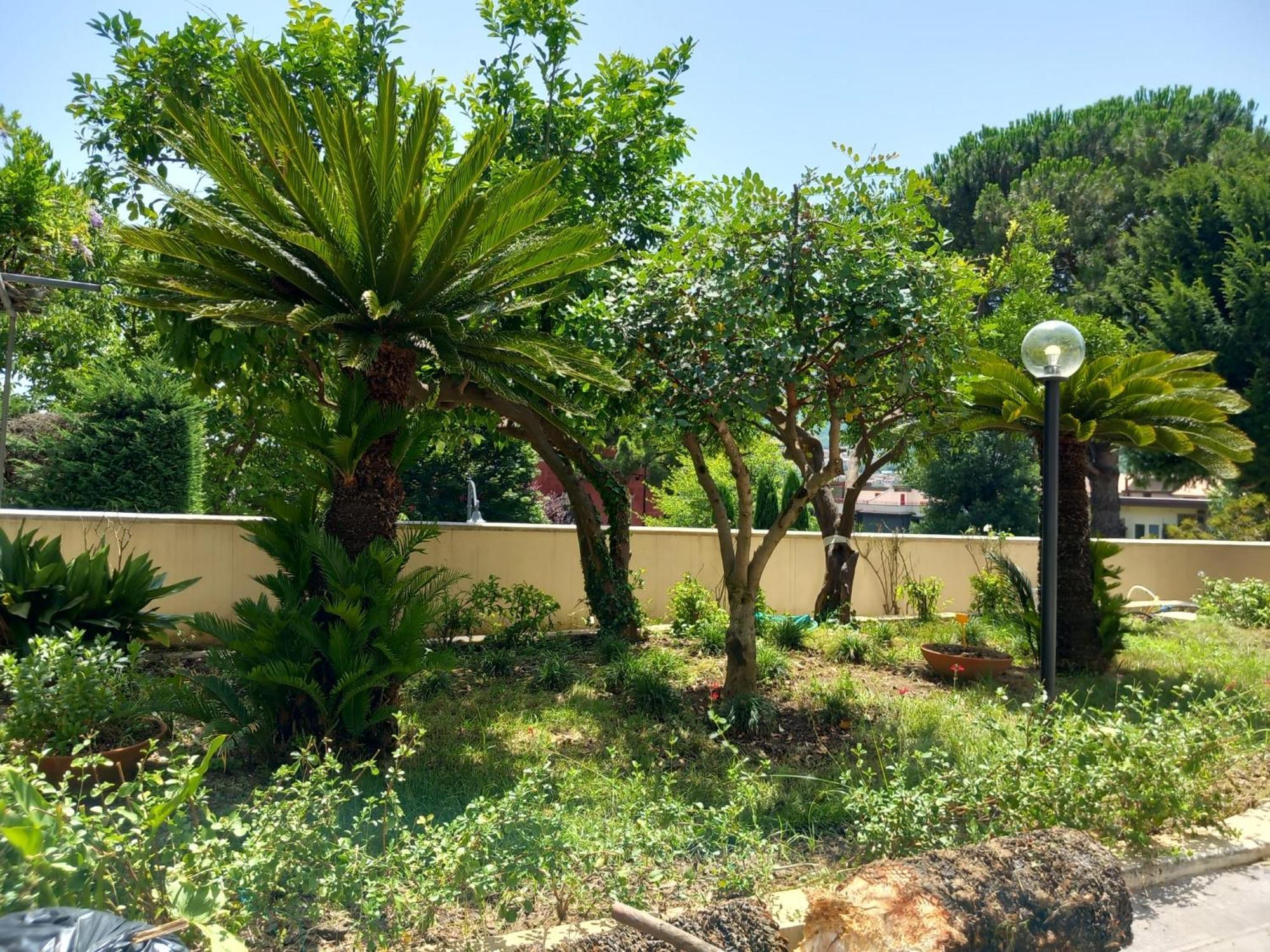 Villa Maria Cristina D'Amico Cava deʼ Tirreni المظهر الخارجي الصورة